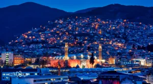 Tasarımda Güven Veren Renk ve Tipografi Seçimleri